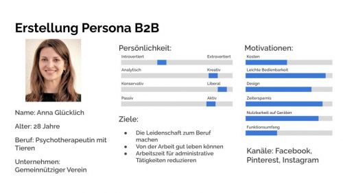 persona1-Design Thinking Workshop Persona 1 business customer